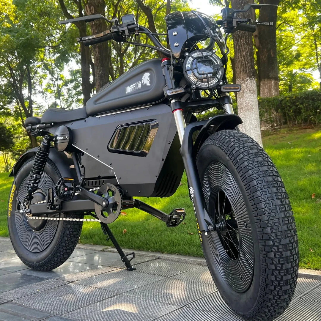 "60V50Ah Lithium Battery Electric Bicycle with Air Suspension Integrated Battery & Rear Hub Motor (Aluminum Alloy Frame)"