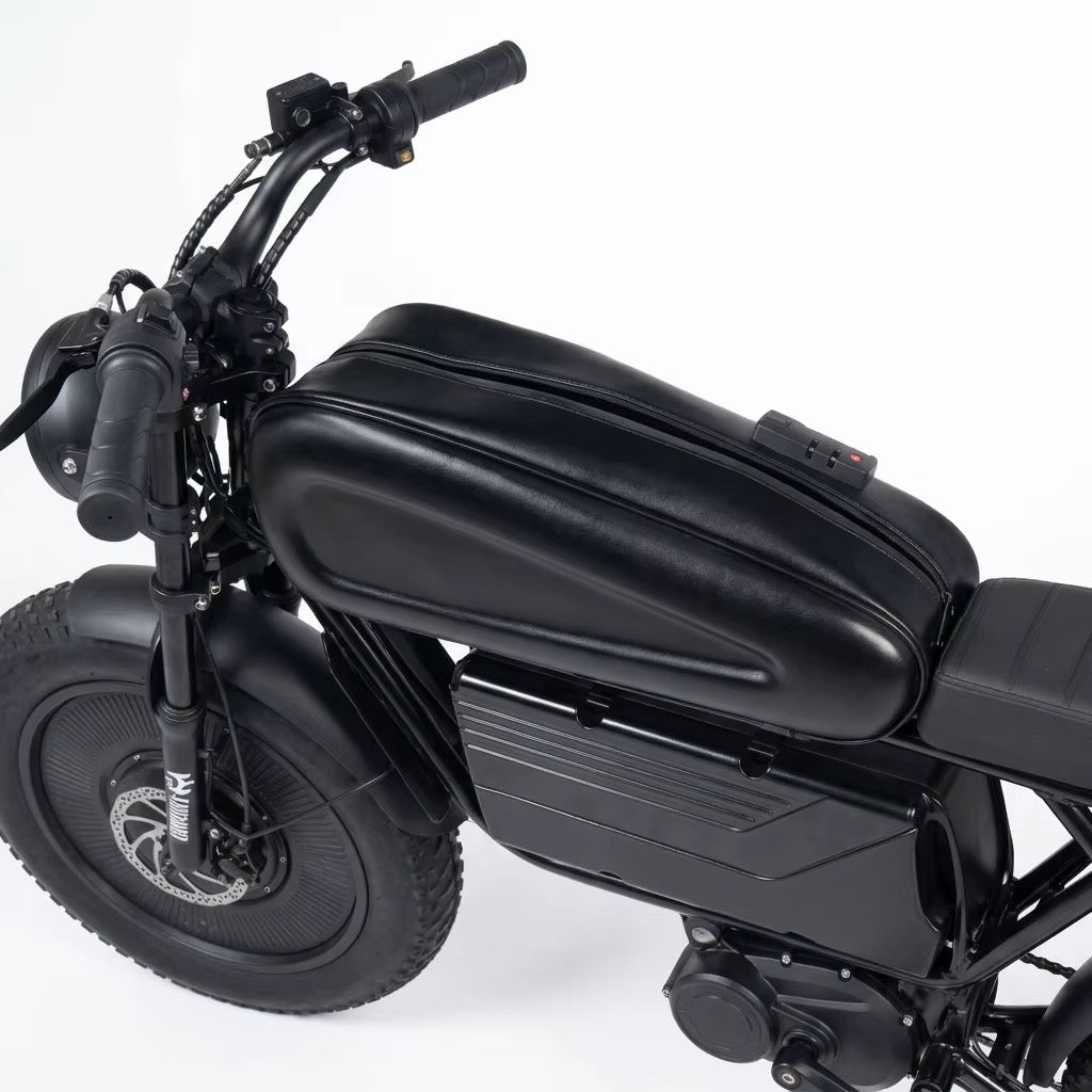 Black Warrior HWS frame, front suspension fork and battery area